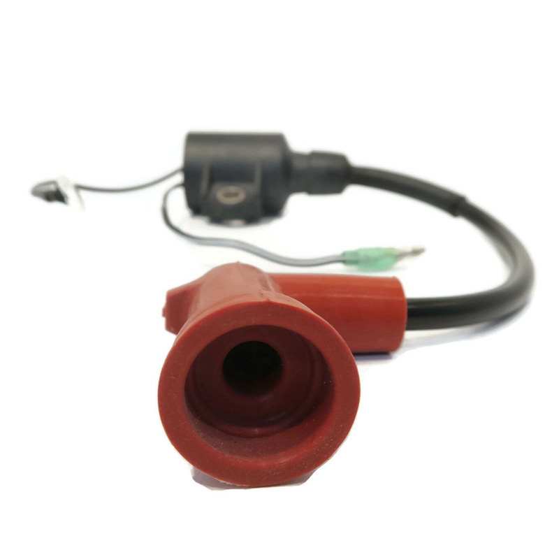 Outboard Ignition Coil Assy 63 - Spark Plug review and price